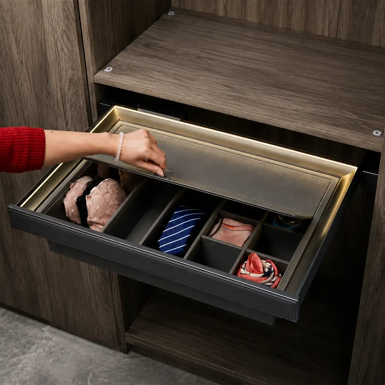 Luxury Wardrobe Jewelry & Accessories Drawer Organizer