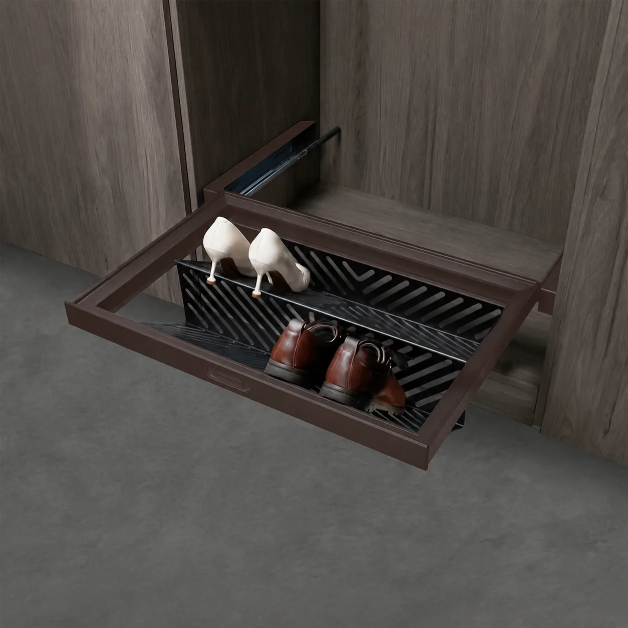 Pull-Out Shoe Rack
