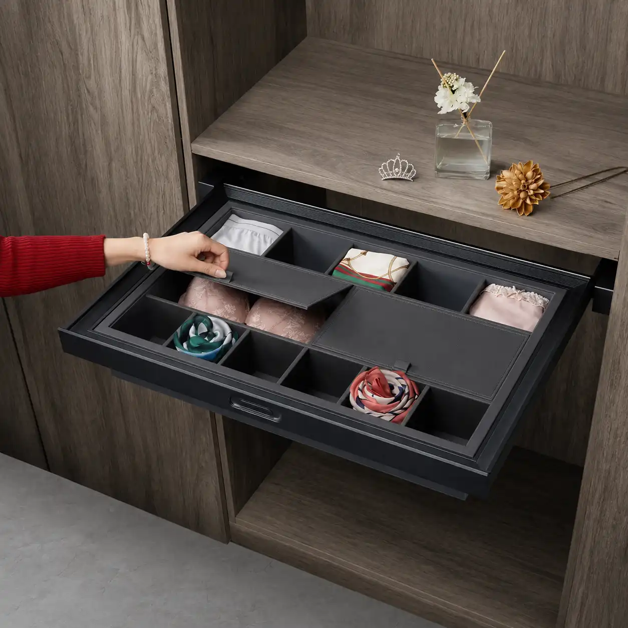Pull-Out Wardrobe Accessories Organizer